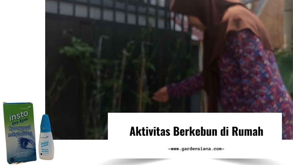 aktivitas berkebun di depan rumah 